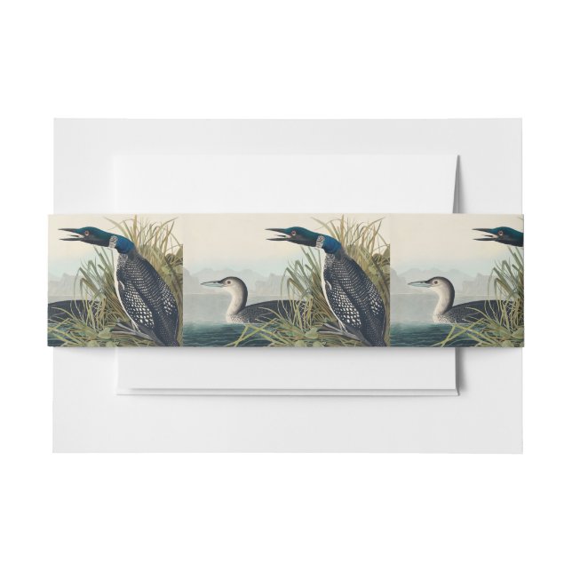 Bandeau De Faire-part Audubon Bird Loon Diver Classic (Devant Example)