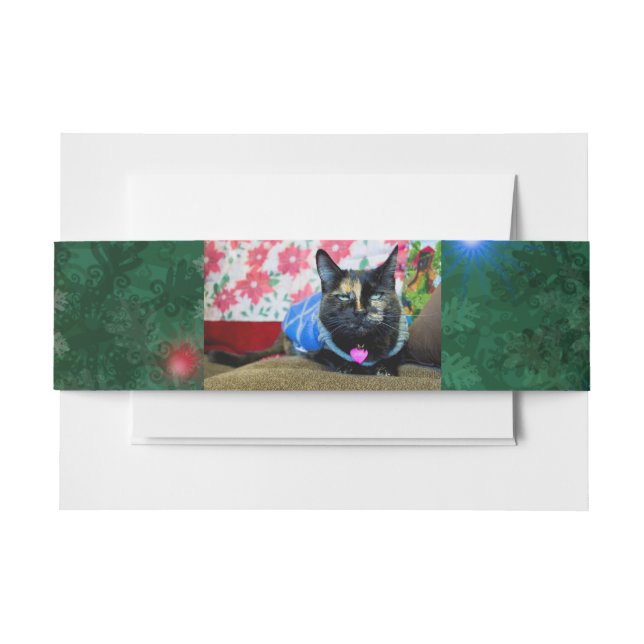 Bandeau De Faire-part Calico I (Devant Example)