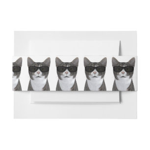 Bandeau De Faire-part Chat cool Avec Lunettes De Soleil Noir