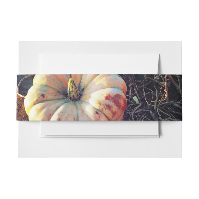 Bandeau De Faire-part Citrouille Rustique  (Devant Example)