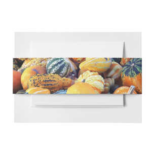 Bandeau De Faire-part Courges Colorées De Près