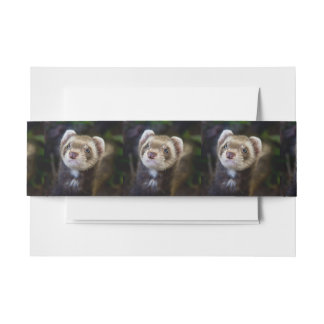 Bandeau De Faire-part Ferret