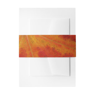 Bandeau De Faire-part Feuille de Érable Rouge Photographie de Nature Abs