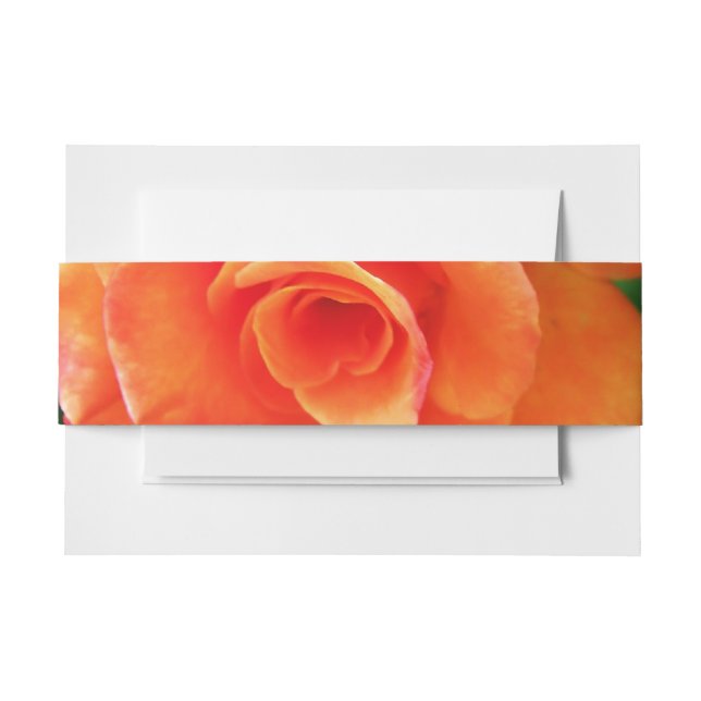 Bandeau De Faire-part Fleur de rose orange (Devant Example)