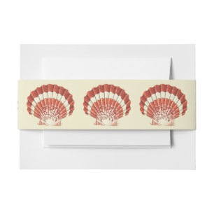 Bandeau De Faire-part Illustration Nautique Vintage Coquille Saint-Jacqu