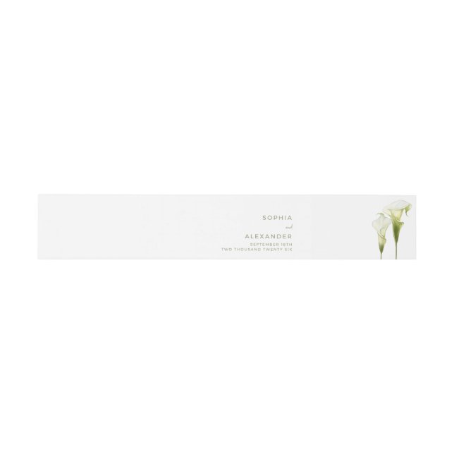 Bandeau De Faire-part Invitation Bande Ventrale (Plat)