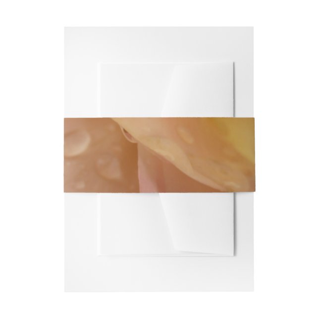 Bandeau De Faire-part Les gouttes de pluie sur les pétales Roses Peach F (Devant example)
