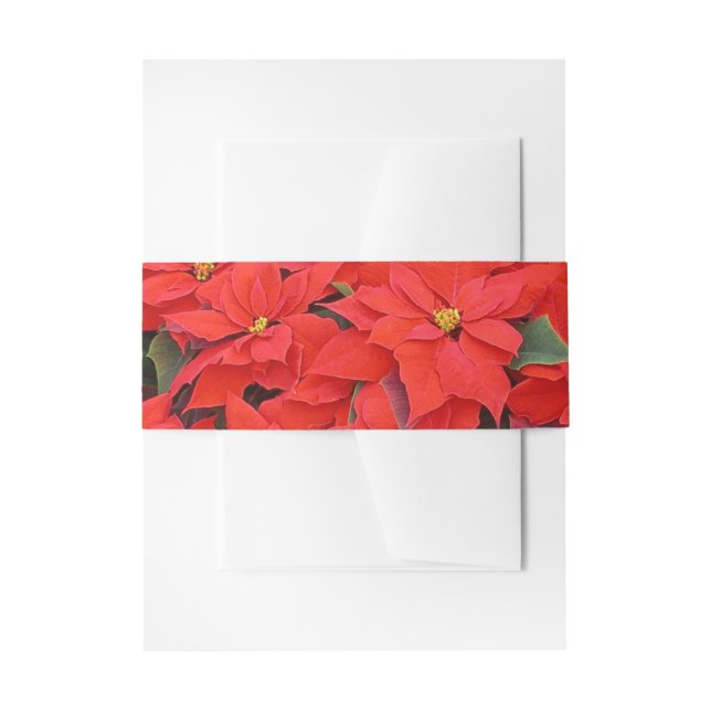 Bandeau De Faire-part Red Poinsettias I Christmas Holiday Floral Photo (Devant example)