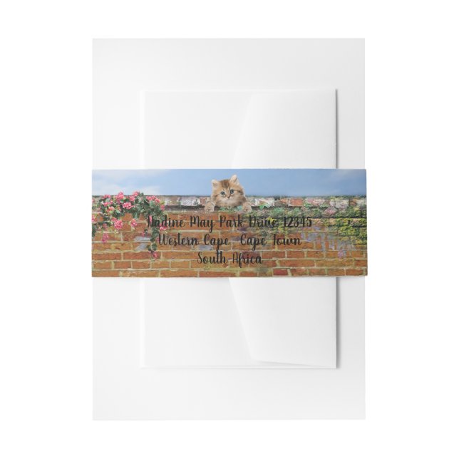 Bandeau De Faire-part Scène d'art de rue Polka-dot (Devant example)