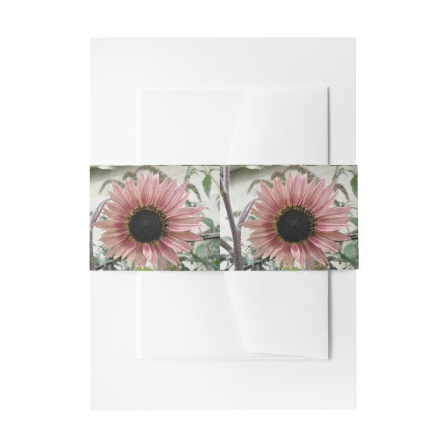 Bandeau De Faire-part Tournesol rose pâle (Devant example)