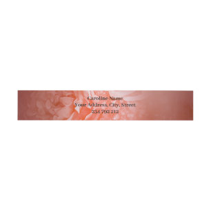 Bandeau De Faire-part Violon noir gothique aux roses rouges
