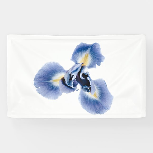 Banderole (Horizontal)