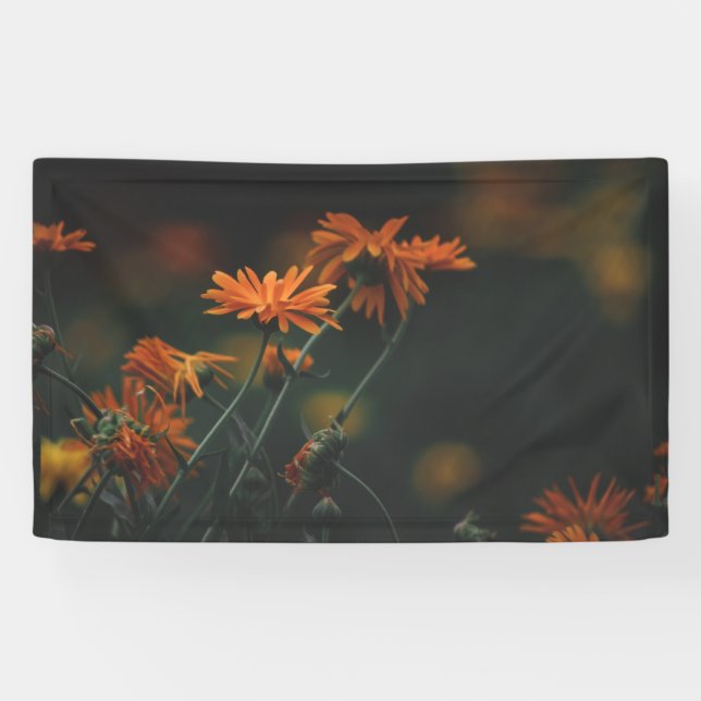 Banderole 90 x 150 cm (Horizontal)