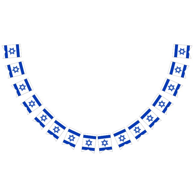 Banderole Israël drapeau bleu blanc patriotique (Tout)