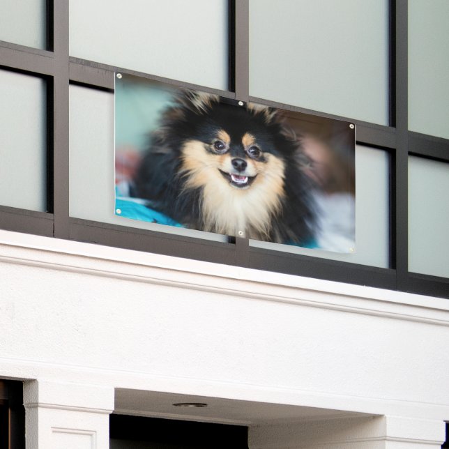 Banderoles Adorable chien mignon regardant dehors Artisanat G (Bâtiment extérieur)