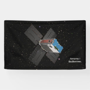 Banderoles Artemis BioSentinel CubeSat