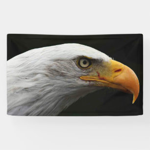 Banderoles Bald Eagle bnrcna
