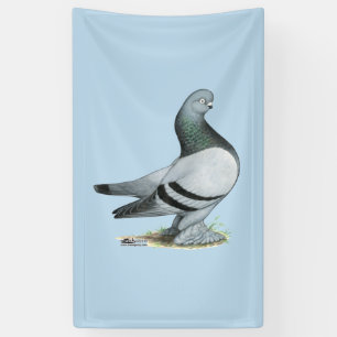 Banderoles Barre Bleue Berliner Tumbler Pigeon