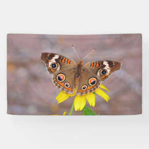 Banderoles Beau papillon sur Fleur Jaune