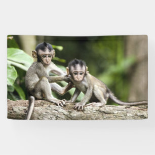 Banderoles Bébés singes dans la nature