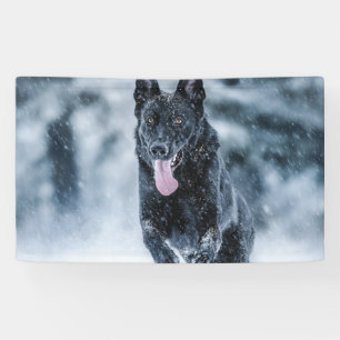 Banderoles Berger allemand noir dans la couverture de duvet d