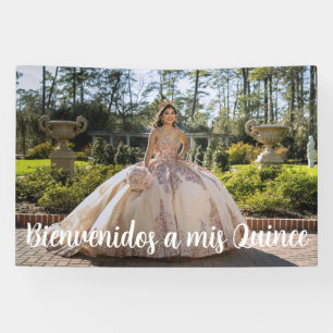 Banderoles Bienvenidos A Mis Quince Quinceañera Photo