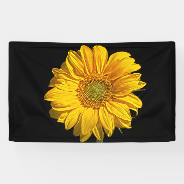 Banderoles Bnrcna de tournesol (Horizontal)