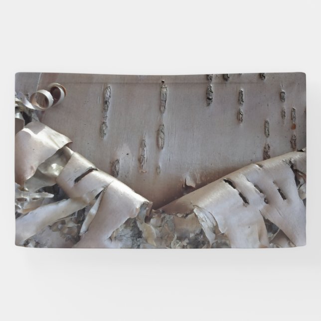 Banderoles Bouleau courbe écorce rustique (Horizontal)