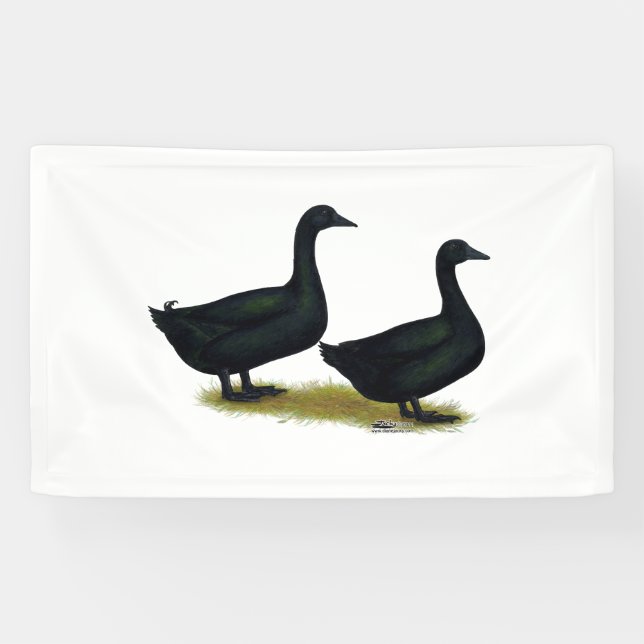 Banderoles Canards : Cayugas noirs (Horizontal)