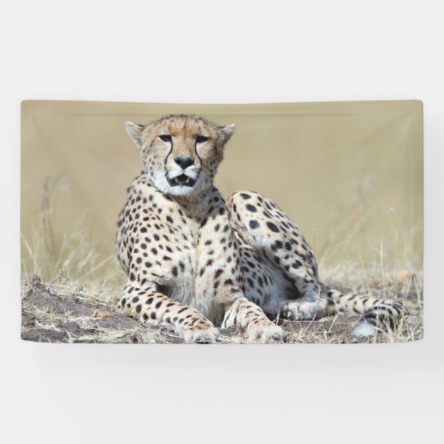 Banderoles Cheetah (Horizontal)