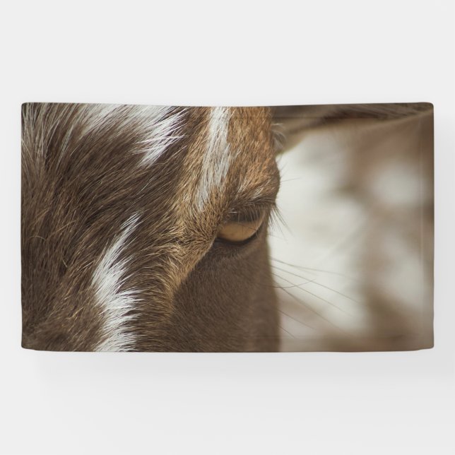 Banderoles Chèvre (Horizontal)