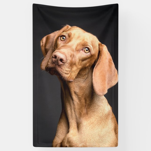 Banderoles Chien Beagle Brown animal (Vertical)