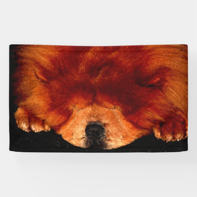 Banderoles Chow Chow Chow bnrcnm (Horizontal)