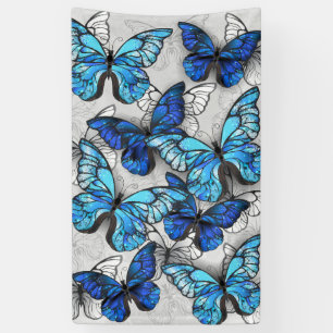 Banderoles Composition des White and Blue Butterflies