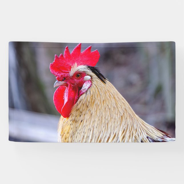 Banderoles Coq avec Cockscomb (Horizontal)