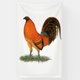 Banderoles Coq de combat Ginger Rouge Coq