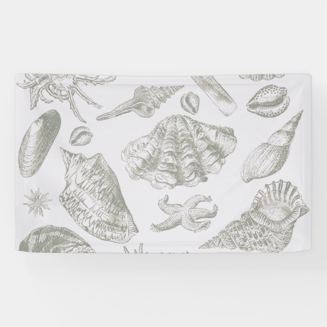 Banderoles Coquilles de mer gris sauge doux croquis Antique N (Horizontal)