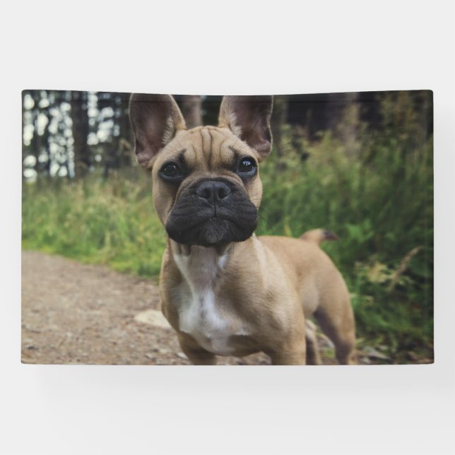 Banderoles Coussin de lancer pour bouledogue français (Horizontal)