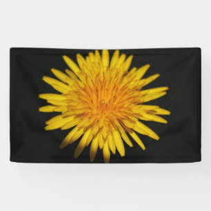 Banderoles Dandelion Flower bnrcna