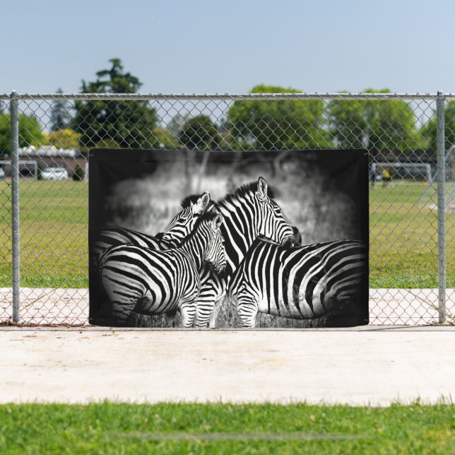 Banderoles Dazzle de Zebra (Insitu)
