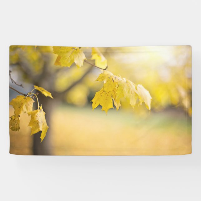 Banderoles de 91 cm x 152 cm (Horizontal)