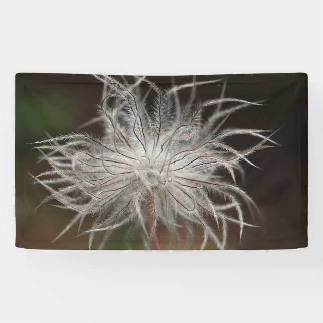 Banderoles de 91 cm x 152 cm (Horizontal)
