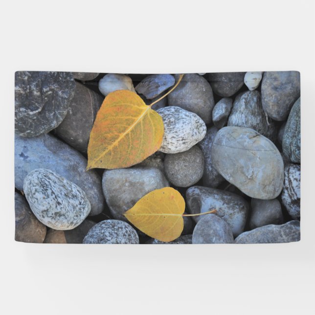 Banderoles de 91 cm x 152 cm (Horizontal)