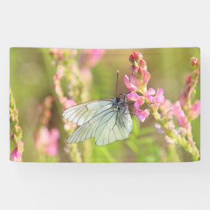 Banderoles de 91 cm x 152 cm