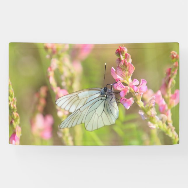 Banderoles de 91 cm x 152 cm (Horizontal)