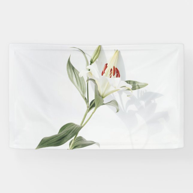 Banderoles de 91 cm x 152 cm (Horizontal)