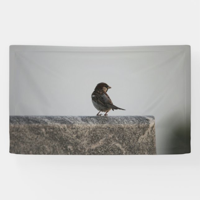 Banderoles de 91 cm x 152 cm (Horizontal)