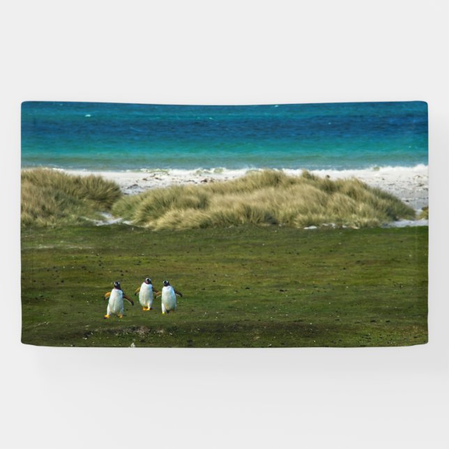 Banderoles de 91 cm x 152 cm (Horizontal)