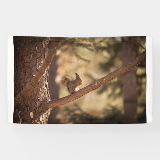 Banderoles de 91 cm x 152 cm (Horizontal)