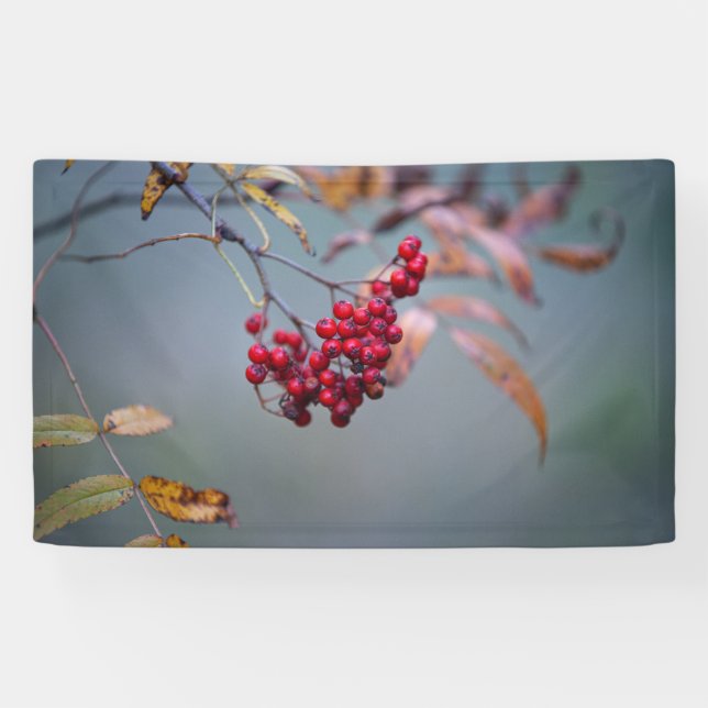 Banderoles de 91 cm x 152 cm (Horizontal)